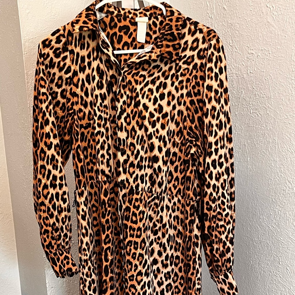 H&M Animal Print Long Sleeve Dress